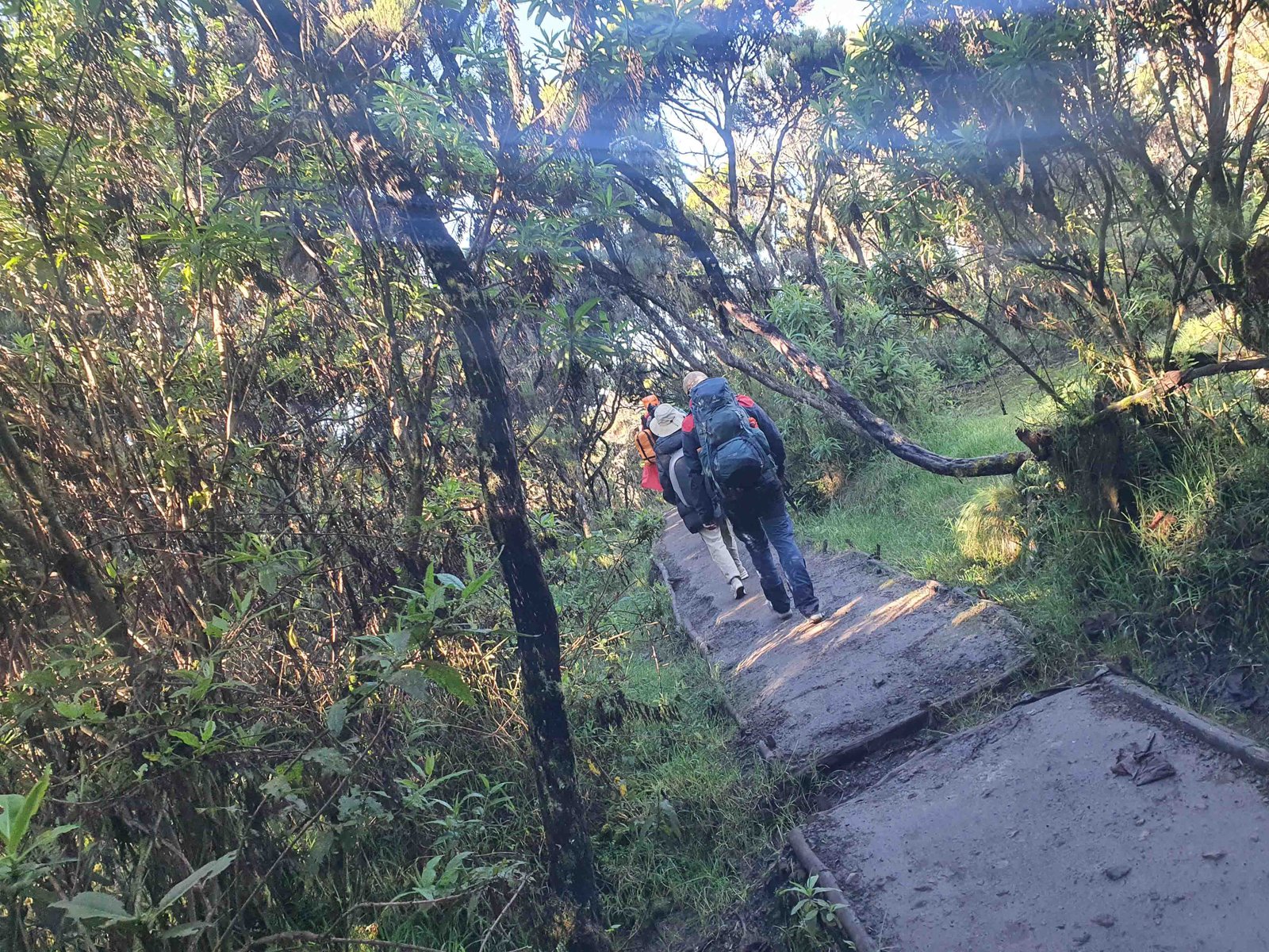 8 Days Kilimanjaro climbing Northern Circuit