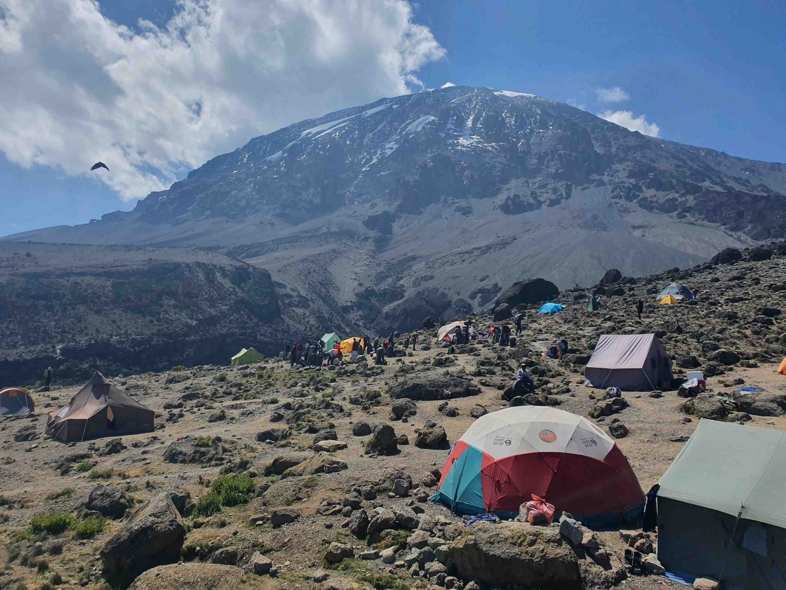 9 Days Kilimanjaro climbing Northern Circuit