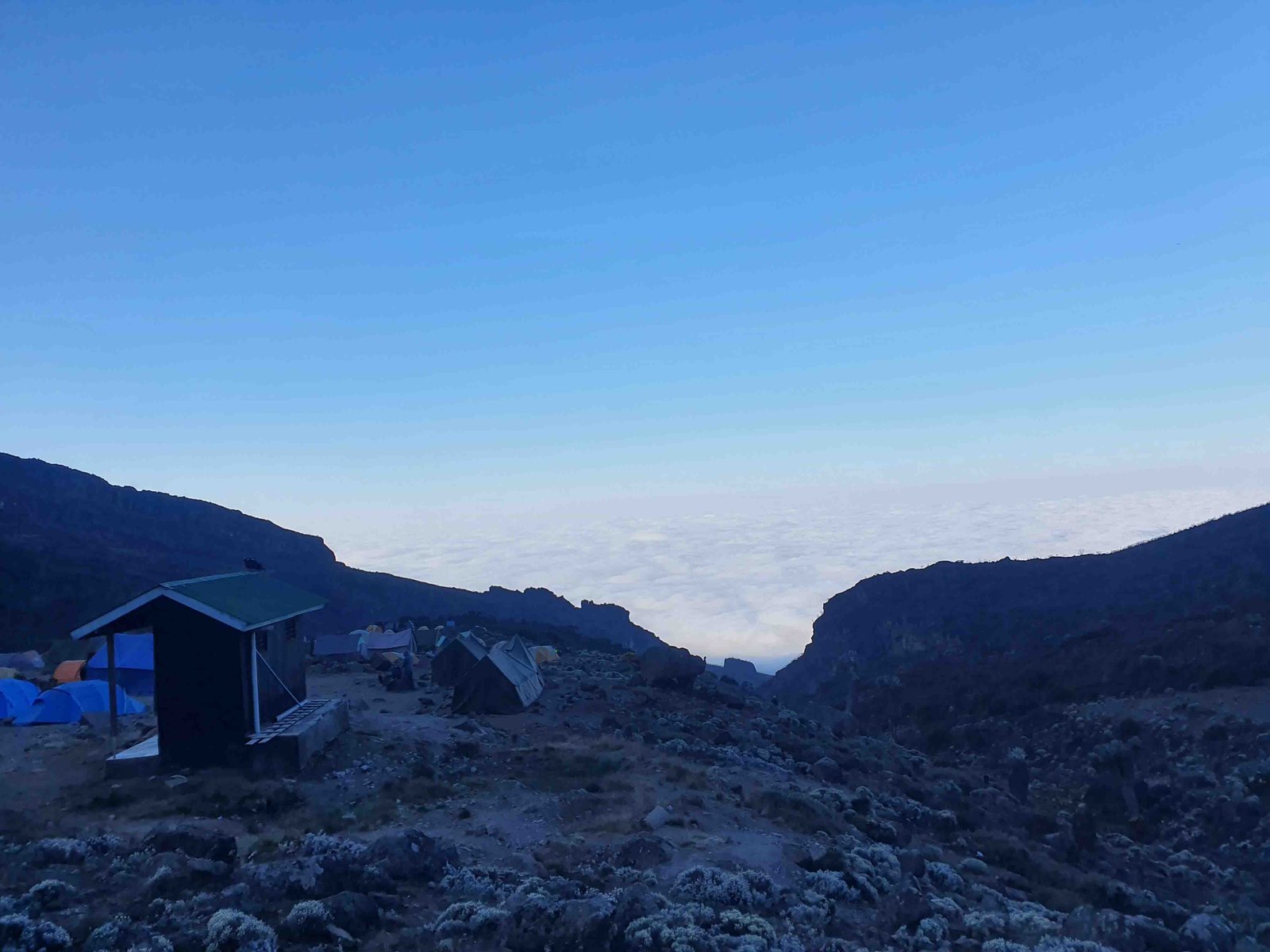 Lemosho 7 days Kilimanjaro Climbing