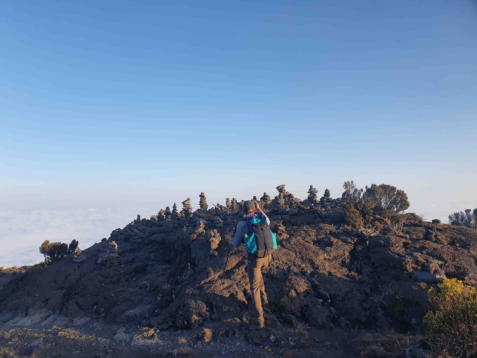 Lemosho 7 days  Kilimanjaro Climbing