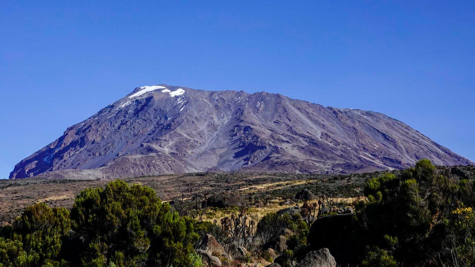 Climbing Specialist - Mount kilimanjaro
