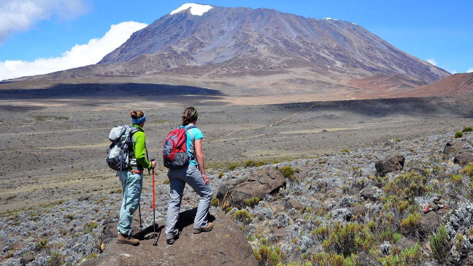 Shira Plateau in Mount kilimanjaro