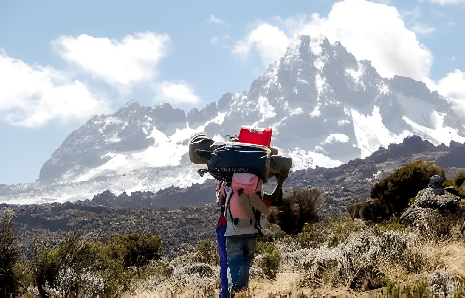 Kilimanjaro climbing and hiking adventure in 2024