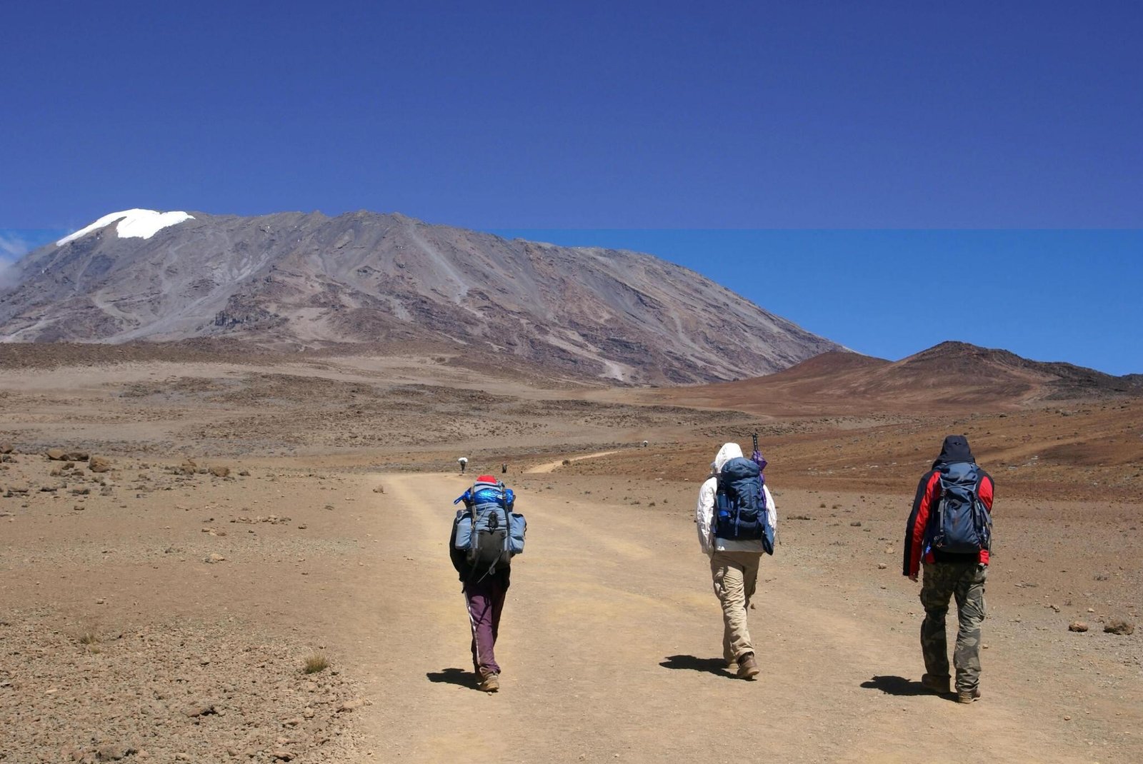 Kilimanjaro climbing tours /treks/hikes 2024, 2025 & 2026