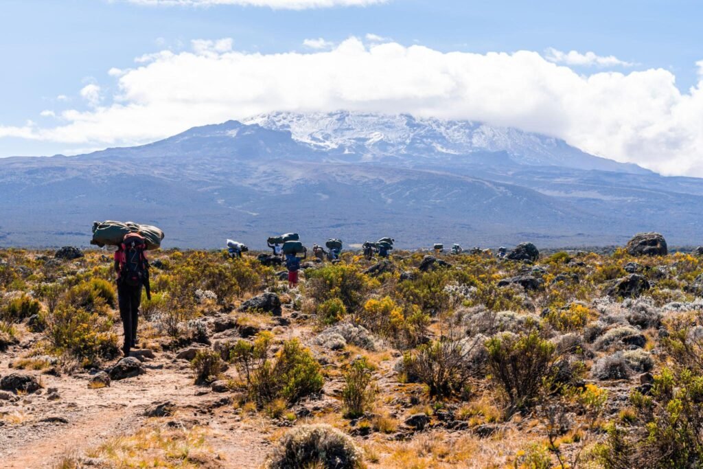 7 days Rongai route on Kilimanjaro climbing: an easier route for 2024 and 2025