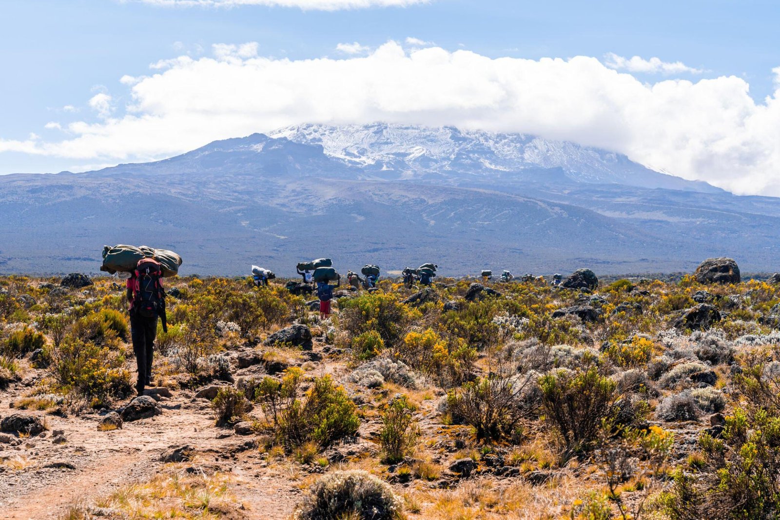 Interesting facts about Mt. Kilimanjaro