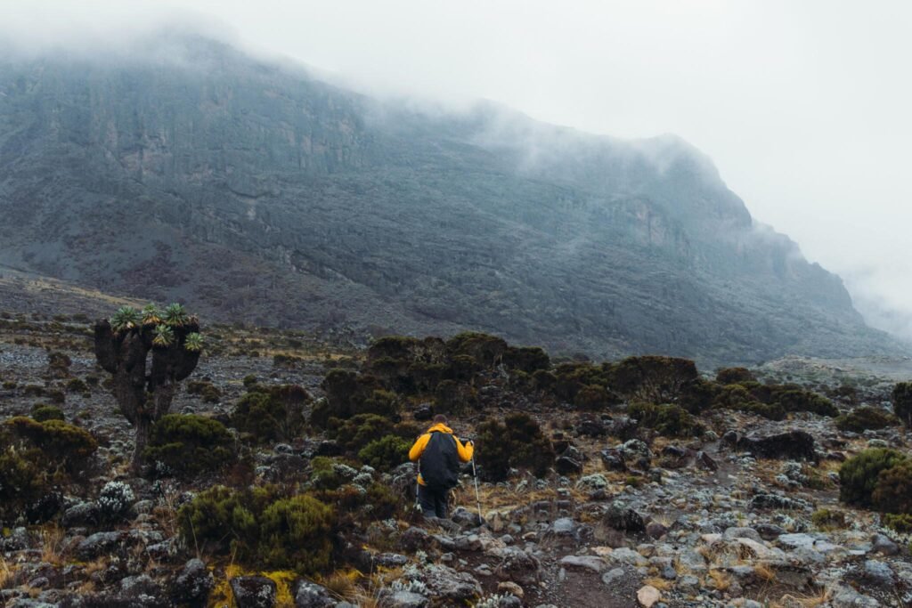 Climbing Kilimanjaro on the Machame route for 6 and 7 days in 2024 and 2025