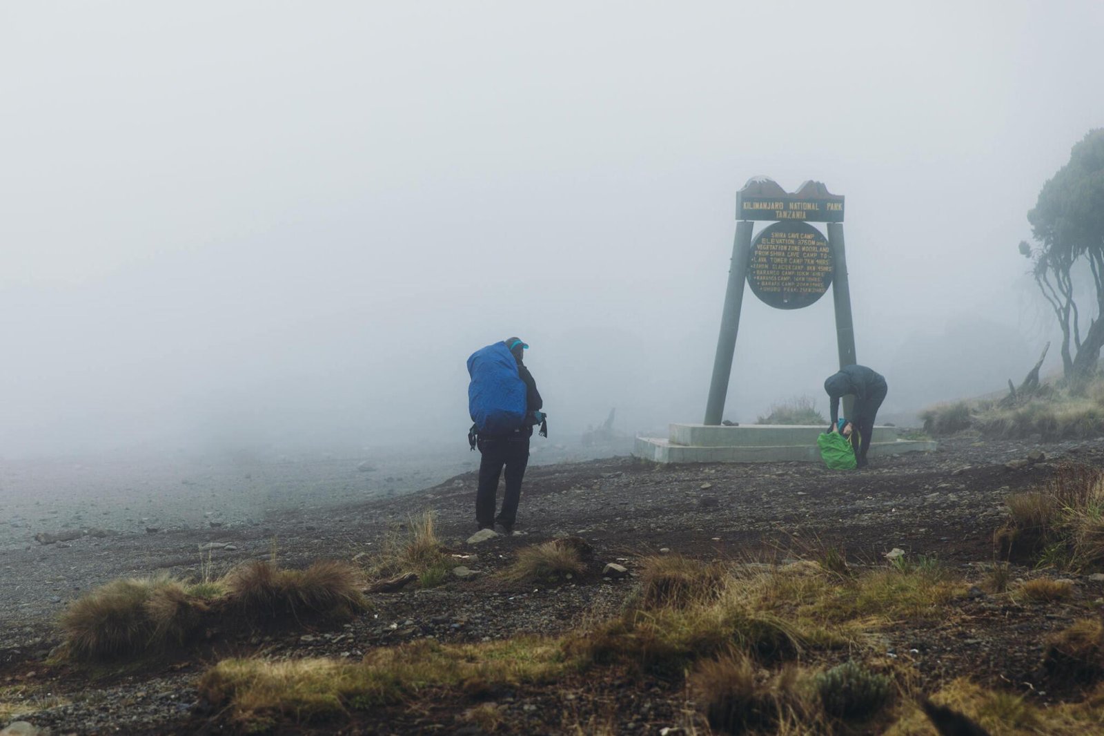 The Best Ultimate 6 days Kilimanjaro Hiking tour via Rongai