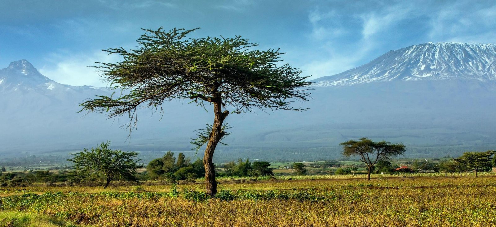 The Best Ultimate 7 days Lemosho route Kilimanjaro