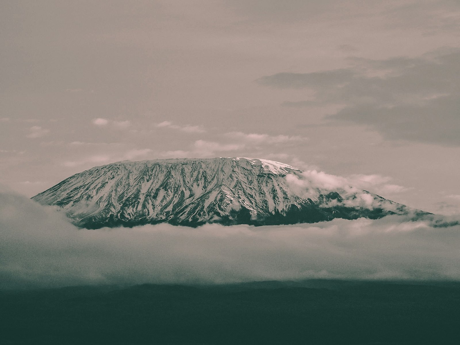 Reaching the Roof of Africa: What Awaits at the Top of Mount Kilimanjaro?