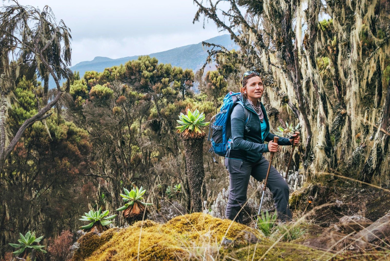 All You Need to Know to Climb Mt Kilimanjaro