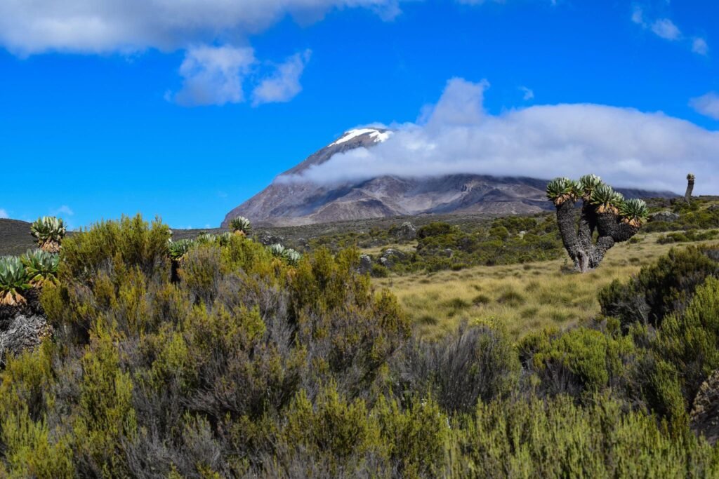 Climbing Kilimanjaro Guide 2024/2025