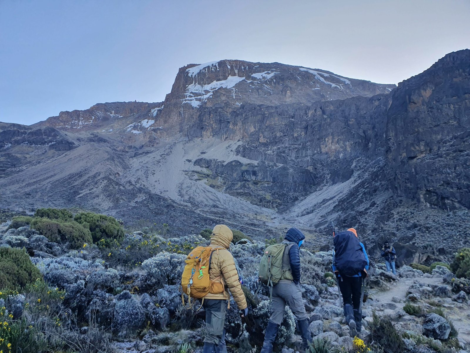 The Best Ultimate Kilimanjaro Climbing in 6 days Machame route