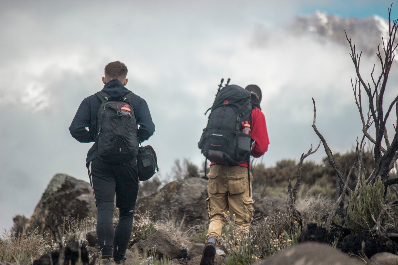 The Best Ultimate Kilimanjaro Climbing in6 day Marangu