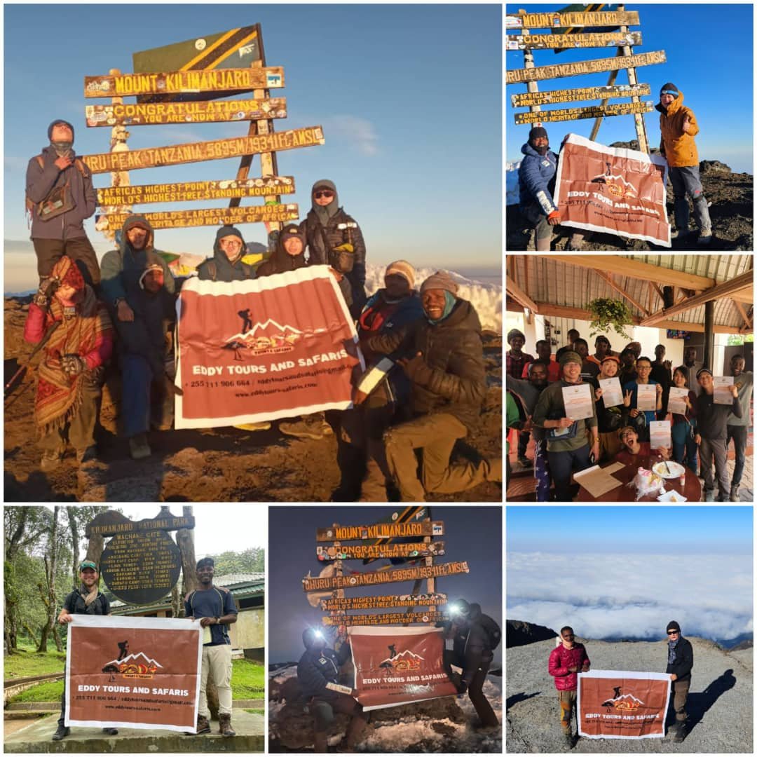 The Best Ultimate Kilimanjaro Climbing in 6 days Lemosho route