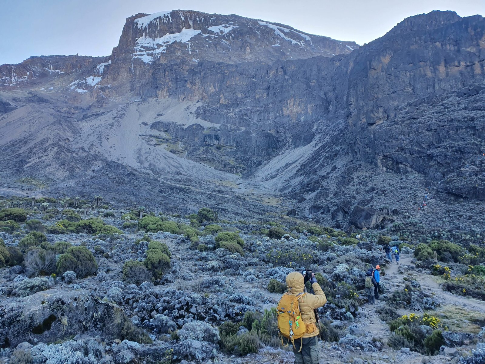 The Best Ultimate Climbing the Kilimanjaro Machame Route 6 days